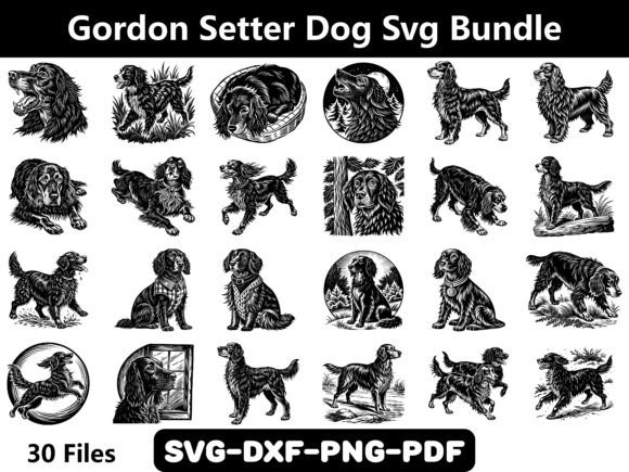 A Gordon Setter SVG: A Designer's Review for Craft Graphics